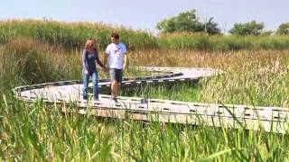 Creole Nature Trail Lake Charles LA [upl. by Almeda]