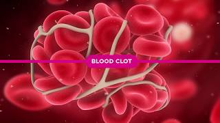 Coagulation Cascade Explained [upl. by Leandra]