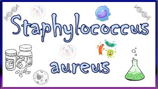 Staphylococcus aureus  Diseases Clinical Presentation Virulence Factors Diagnosis amp Treatment [upl. by Mab204]