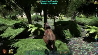 How to level a Procoptodon  ARK Survival Evolved [upl. by Ajssatan]