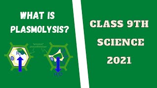 WHAT IS PLASMOLYSIS  CELL  SIMPLEST WAY TO LEARN  NCERT  BIOSCIFY [upl. by Cristine]