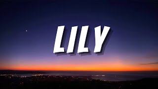 Alan Walker  Lily XL Remix [upl. by Aydin]