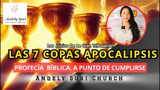 🔥 LAS 7 COPAS EXPLICACIÓN BÍBLICA  Andely Suri arrebatamiento apocalipsis jesuschrist [upl. by Raimundo]