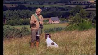 Sporting Scene  Spaniel Training Master Class P3 [upl. by Calmas20]