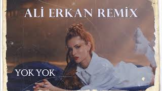 Feride Hilal Akın  Yok Yok Ali Erkan Remix [upl. by Ahsilahs]