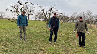 Cours de Taille fruitiers à Ohlungen amp Grassendorf mars 2021 Association Fruitière de Haguenau [upl. by Blithe]