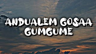 Andualem Gosaa  GumgumeLyrics  Ethiopian Oromo Music [upl. by Howlyn]