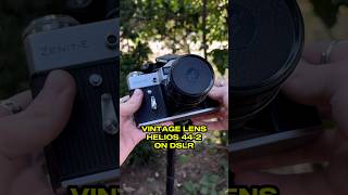 Helios 442 OLD LENS on modern Canon CAMERA 📷🏚️ videography photography vintage [upl. by Shenan]