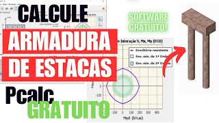 Armadura de ESTACAS com PCALC I Software GRATUITO para CALCULO de Pilares  Estacas e mais [upl. by Yuji]