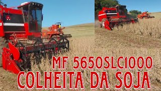 Colheita da Soja MF 5650SLC 1000 [upl. by Hiram]