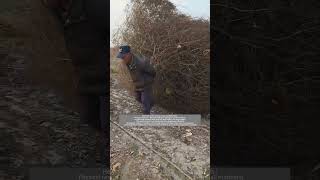 Process of Manually Dragging Tumbleweeds [upl. by Siramay350]