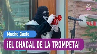 El chacal de la trompeta  Mucho Gusto 2016 [upl. by Inimak]