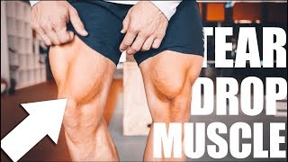 LEG DAY TRAINING  VASTUS MEDIALIS [upl. by Enihpesoj557]