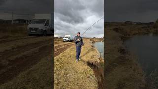 Catching pike on the river 2024 Fishing shorts fishing spin spining [upl. by Nueoht]