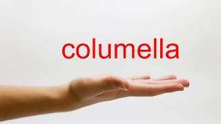 How to Pronounce columella  American English [upl. by Enaek]