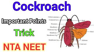 Cockroach Periplaneta Americana  Important points for NTA NEET  TrickMnemonic [upl. by Aneehsat]