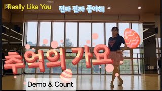 I Really Like You 진짜 진짜 좋아해 재밌는 초급작품 Demo amp Count 🍀 힐링라인댄스 [upl. by Thibaut15]