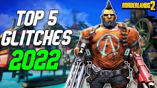 Borderlands 2 Glitches That Still Work In 2022  Massive Damage Infinite Ammo and More [upl. by Delphina]