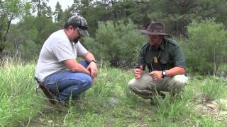 Wild Edible Plants Part 2 Featuring Arizona Bushman [upl. by Deedee]