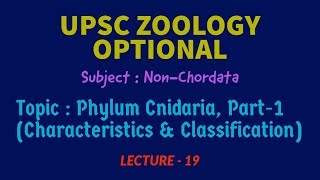 UPSC ZOOLOGY  NonChordata L19  Phylum Cnidaria Part1Characteristics amp Classification IAS [upl. by Nuavahs]