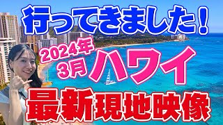 【ハワイ旅行】2024年23月ハワイ最新現地映像！雨期、冬のハワイの様子やオススメスポットなど [upl. by Eliades]