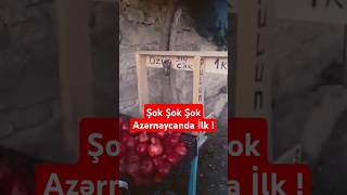 Pulsuz Meyvələr  Azərbaycanda İlk maraqlivideolar meyve mizah [upl. by Ebag126]