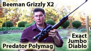 Beeman Grizzly X2 Review  Shooting Predator Polymag and Exact Jumbo Diablo 22 [upl. by Anaidni]