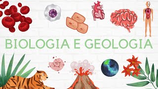 Geologia Métodos Diretos vs Indiretos estudo do interior da Terra [upl. by Chalmers]