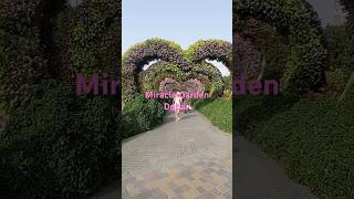 Miracle Garden Dubaimiraclegardendubai traveldiaries viralshorts [upl. by Kort]