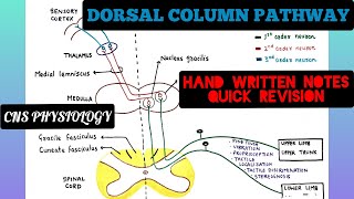 Spinal PathwaysTracts  Part 2  Ascending and Descending Tracts Overview  Anatomy Tutorial [upl. by Healey]