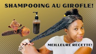 🌿148 WASHDAY LE SHAMPOOING AU GIROFLE POUR RÉVOLUTIONNER LA VIE DE VOS CHEVEUX roodorganics [upl. by Hanikahs]