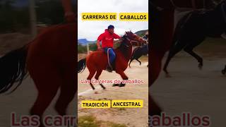 Carreras de caballos tradición de nuestros pueblos caballos carreradecaballos cultur [upl. by Enajharas]