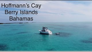 Hoffmans Cay Blue Hole Berry Islands [upl. by Niliram]