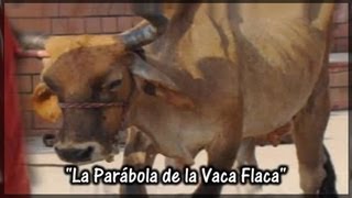 quotLa parábola de la vaca flacaquot • Cuentos Espirituales [upl. by Neirbo537]