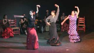 Flamenco Dance Tarde Andaluza [upl. by Lydia464]