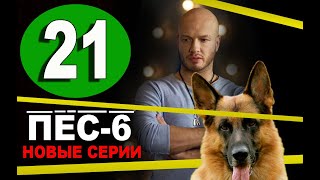 ПЕС 6 СЕЗОН  21 серия  ВСЕ СЕРИИ ПОДРЯД Дата выхода анонс [upl. by Jorgan]