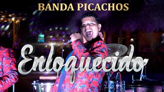 Enloquecido Banda Picachos en vivo [upl. by Reifinnej37]