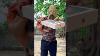 The story of the dog giving the man an iPhone 📱 dog trending viralvideo shortvideo iphone [upl. by Vento]