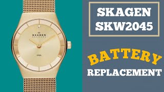 Battery Replacement For Skagen SKW2045 Watch [upl. by Eerac357]