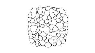 2D Dry Foam Coarsening example using parallel methods [upl. by Eimerej]