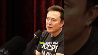 Elon musk and Joe Rogan  peanut the squirrel squirrel [upl. by Magnusson]