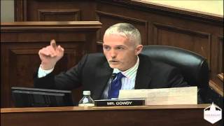 Trey Gowdy Grills DHS Official on Due Process [upl. by Dale]