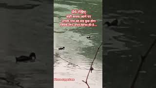 Ki rata lambiya lambiya re song music bollywood [upl. by Sirraj]