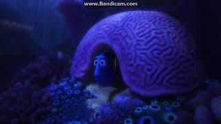 Finding Dory 2016 Movie  Ellen DeGeneres Albert Brooks Hayden Rolence  Review and Facts [upl. by Lekzehcey]