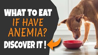 🐶🥣 FOODS for dogs WITH ANEMIA What to eat [upl. by Archibaldo]