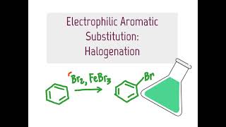 145 CHM2211 Electrophilic Aromatic Substitution Halogenation [upl. by Aiclef]