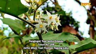 Jerita Empulu Tusun Ke 168 [upl. by Ddahc638]