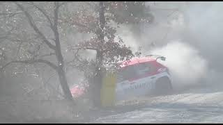 Rally Val DOrcia 2022 CRASH Gianesini Inedito [upl. by Mcnalley]