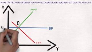 International Economics MundellFleming Model [upl. by Mcgean658]