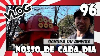 SERÁ QUE TEM SAKURA  Japão Nosso De Cada Dia [upl. by Enyaw67]